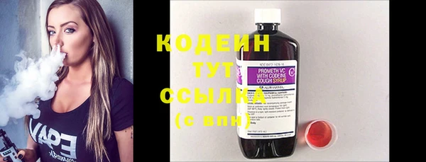 шишки Нягань