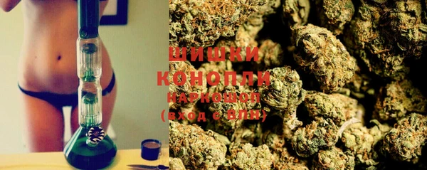 Альфа ПВП Новозыбков