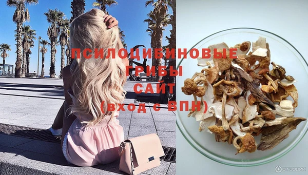 шишки Нягань