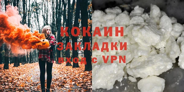 шишки Нягань