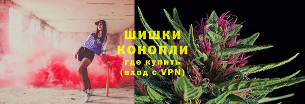 шишки Нягань