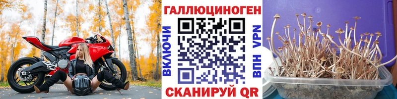 Галлюциногенные грибы прущие грибы  как найти   Любим 